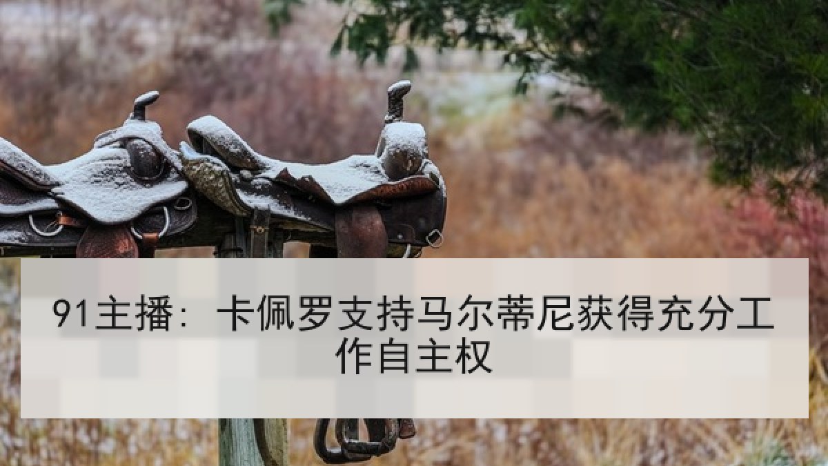 91主播: 卡佩罗支持马尔蒂尼获得充分工作自主权